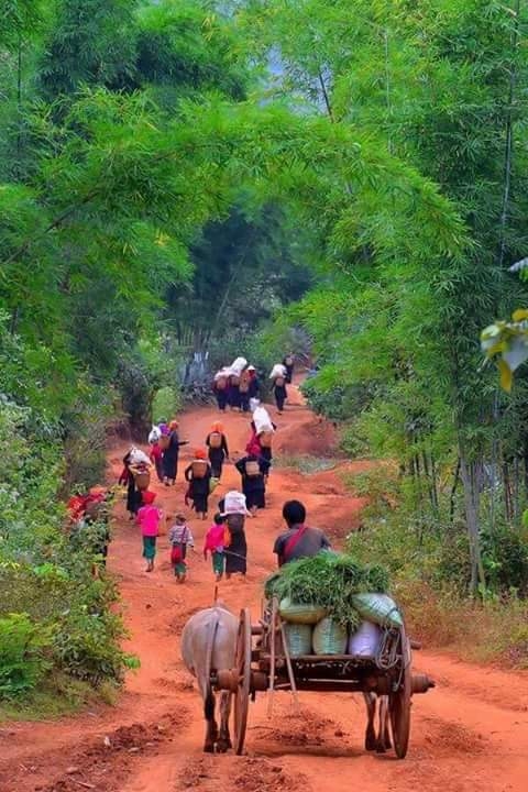 ပအိုဝ်းပုံပြင်